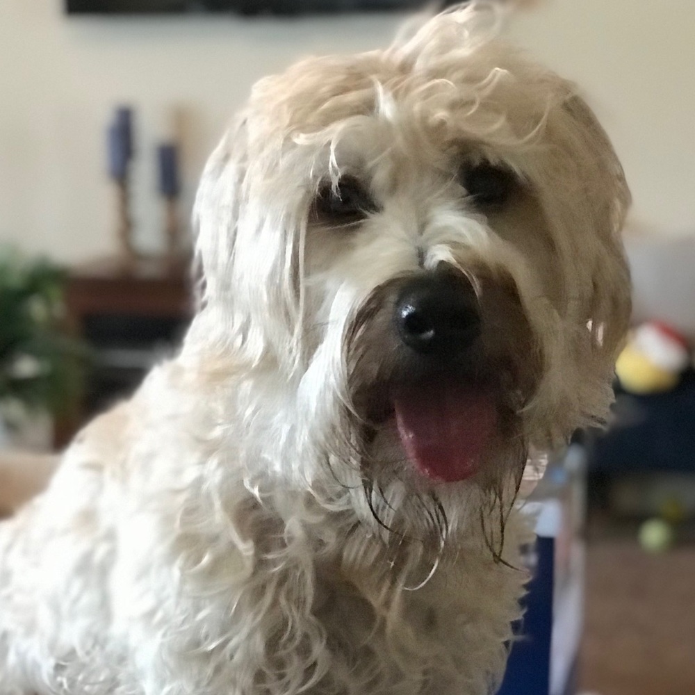 Meet your Posher, Kristina